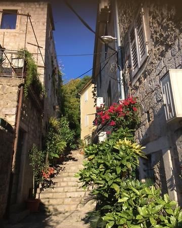 Apartment Simo Herceg Novi Zewnętrze zdjęcie