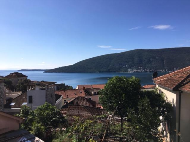 Apartment Simo Herceg Novi Zewnętrze zdjęcie