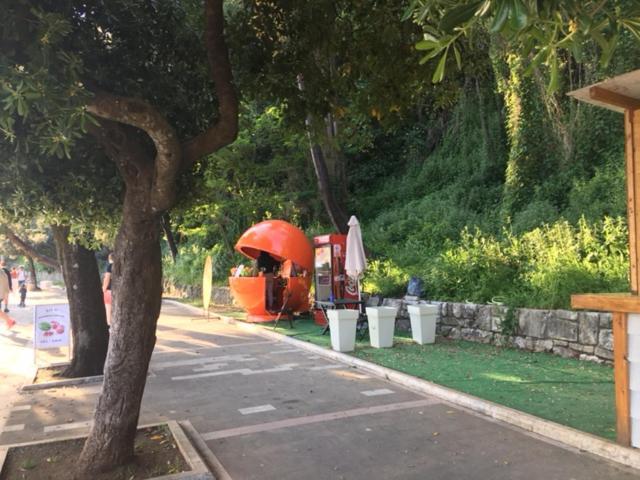 Apartment Simo Herceg Novi Zewnętrze zdjęcie