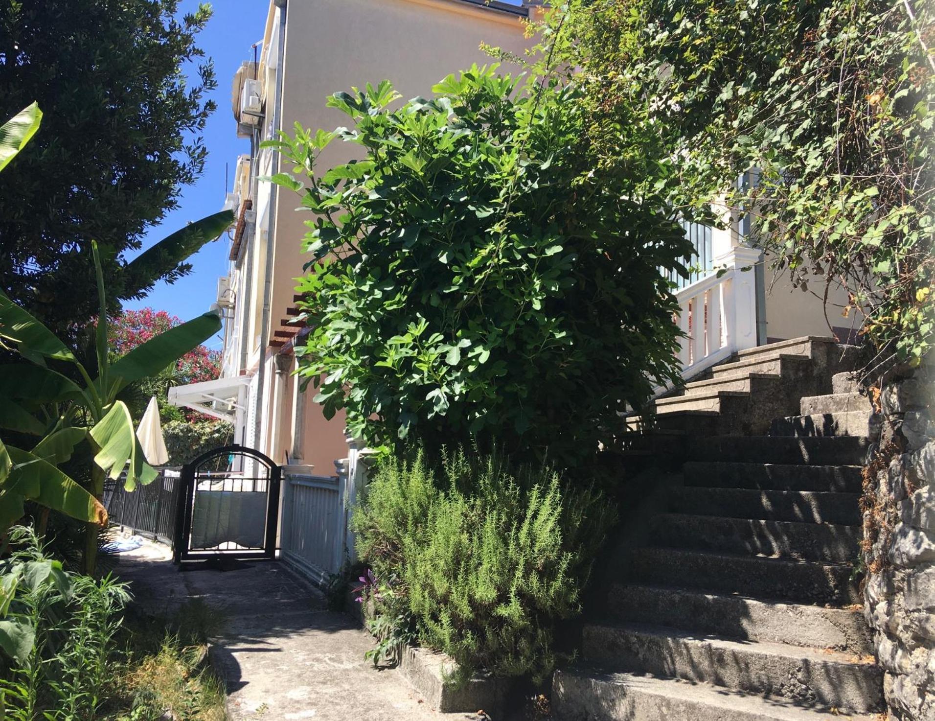 Apartment Simo Herceg Novi Zewnętrze zdjęcie