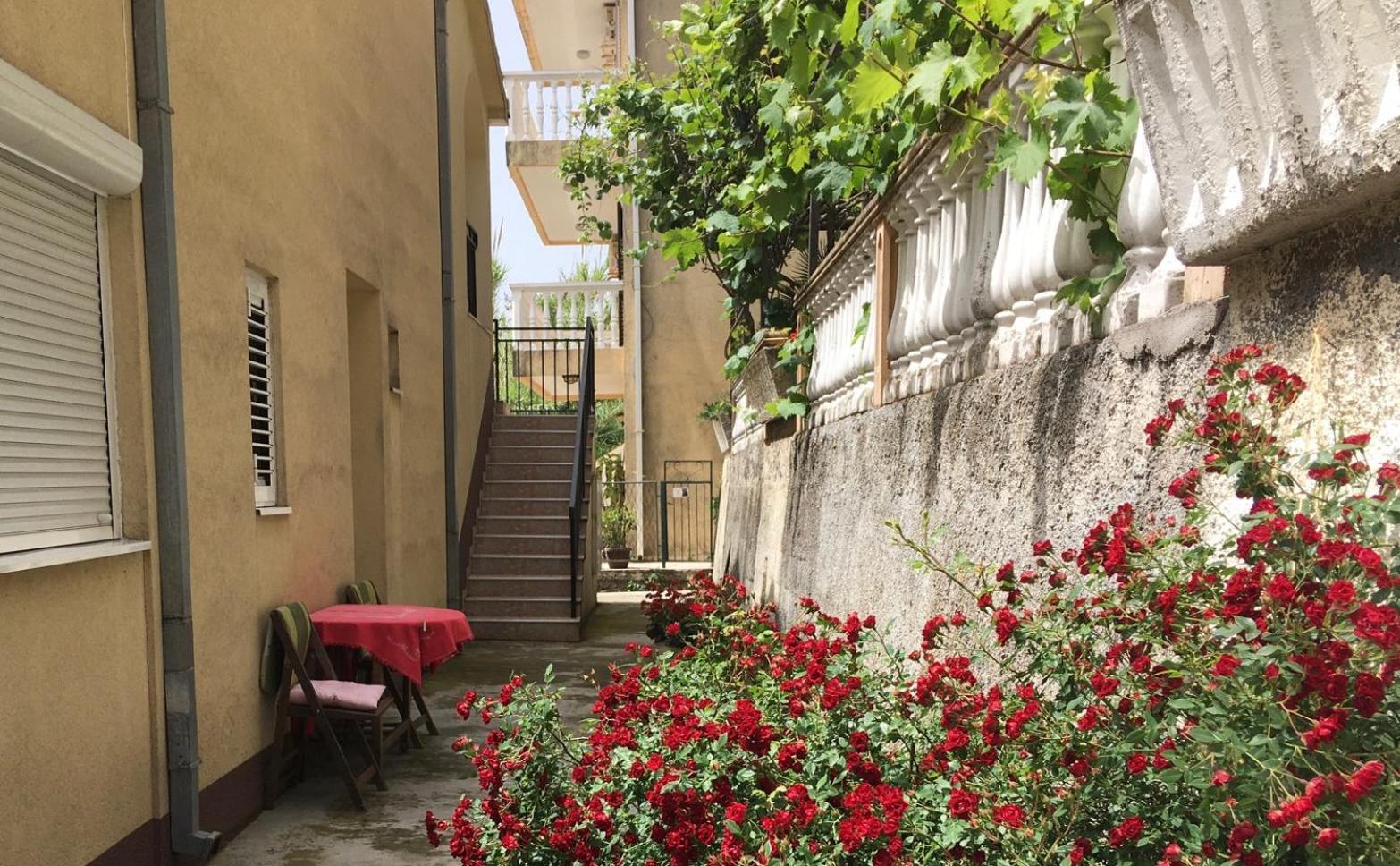 Apartment Simo Herceg Novi Zewnętrze zdjęcie